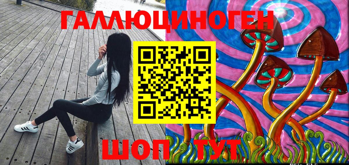 Псилоцибиновые грибы Psilocybe Серов