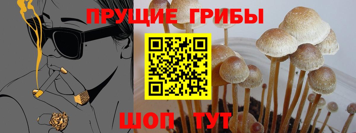 Псилоцибиновые грибы MAGIC MUSHROOMS  Вход с VPN  Серов 